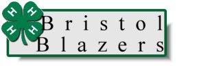 bristolblazerslogosmall.jpg